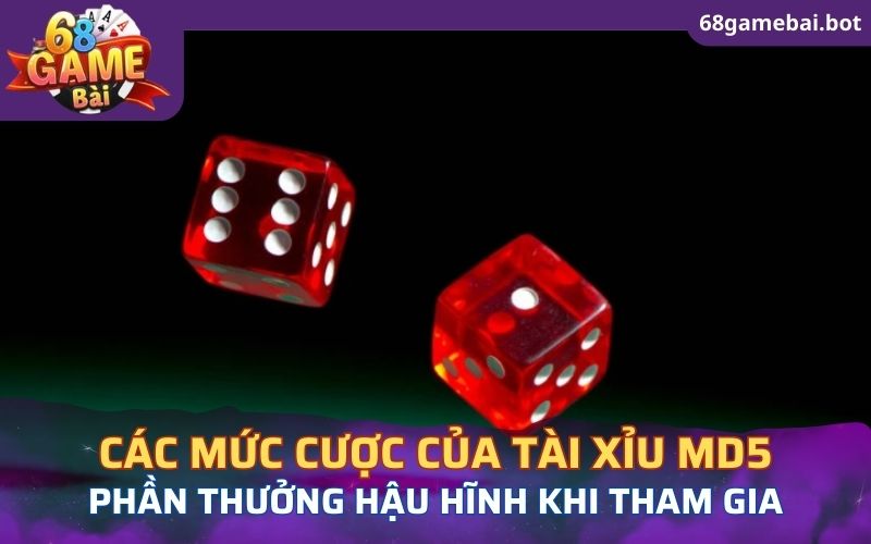 Các mức cược khi tham gia