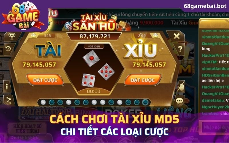 Cách tham gia chơi tài xỉu MD5